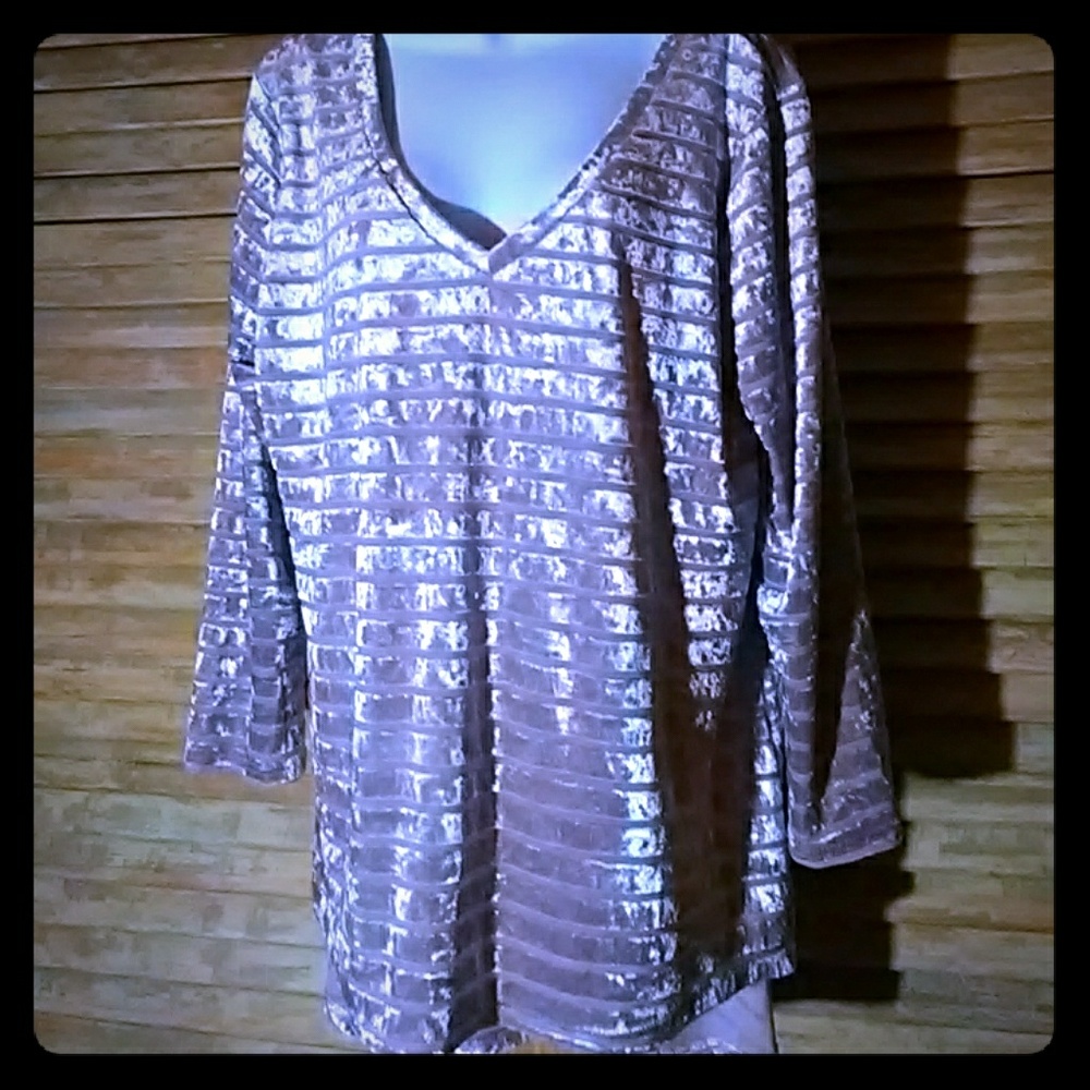 NWOT BLUSH VELVET V-NECK TUNIC